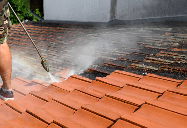 Best Pressure Washing Driveway  in Corrales, NM