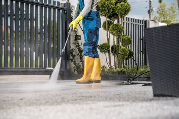 Best Roof Pressure Washing  in Corrales, NM