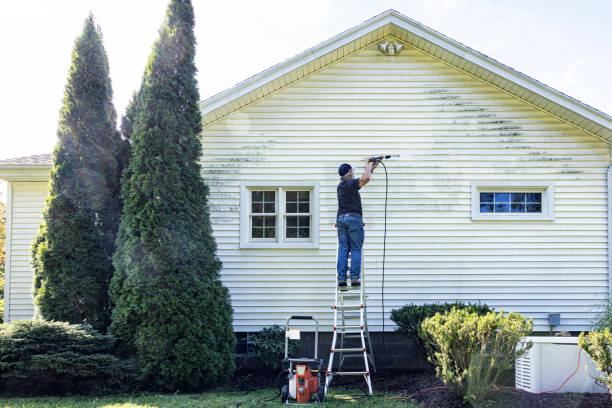Best Concrete Pressure Washing  in Corrales, NM